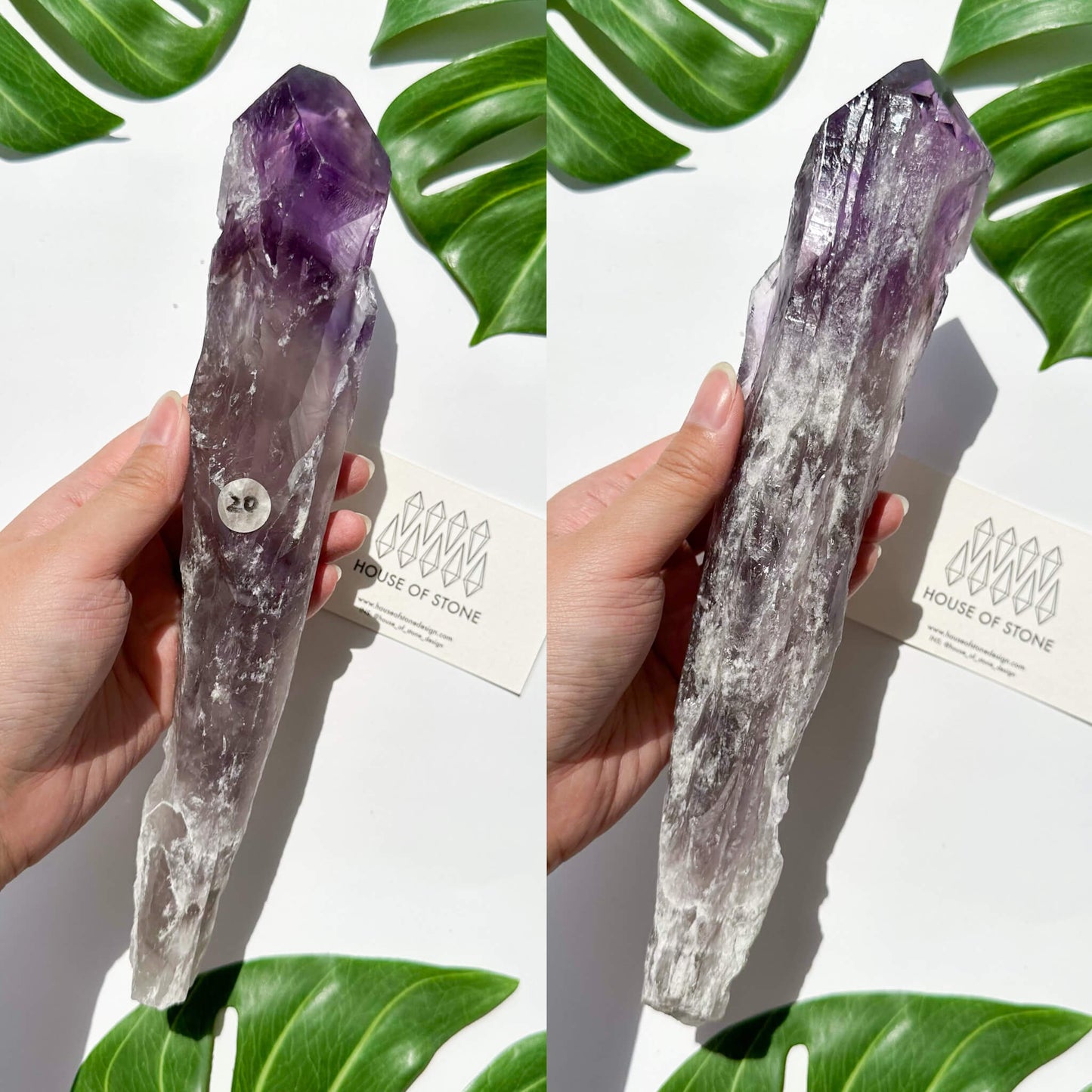 Natural Bahia Amethyst Point Wand/Large Raw Amethyst Dragon Tooth/Rare Amethyst Root/Natural Amethyst Root