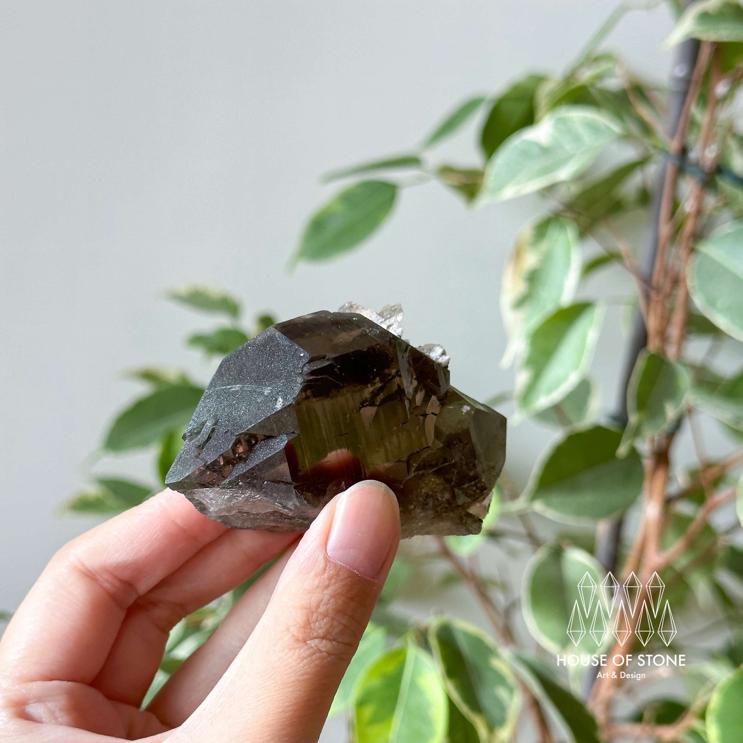 Alpine Mineral Swiss Gwindel Smoky Quartz Specimen/Switzerland Gwindel Apls4
