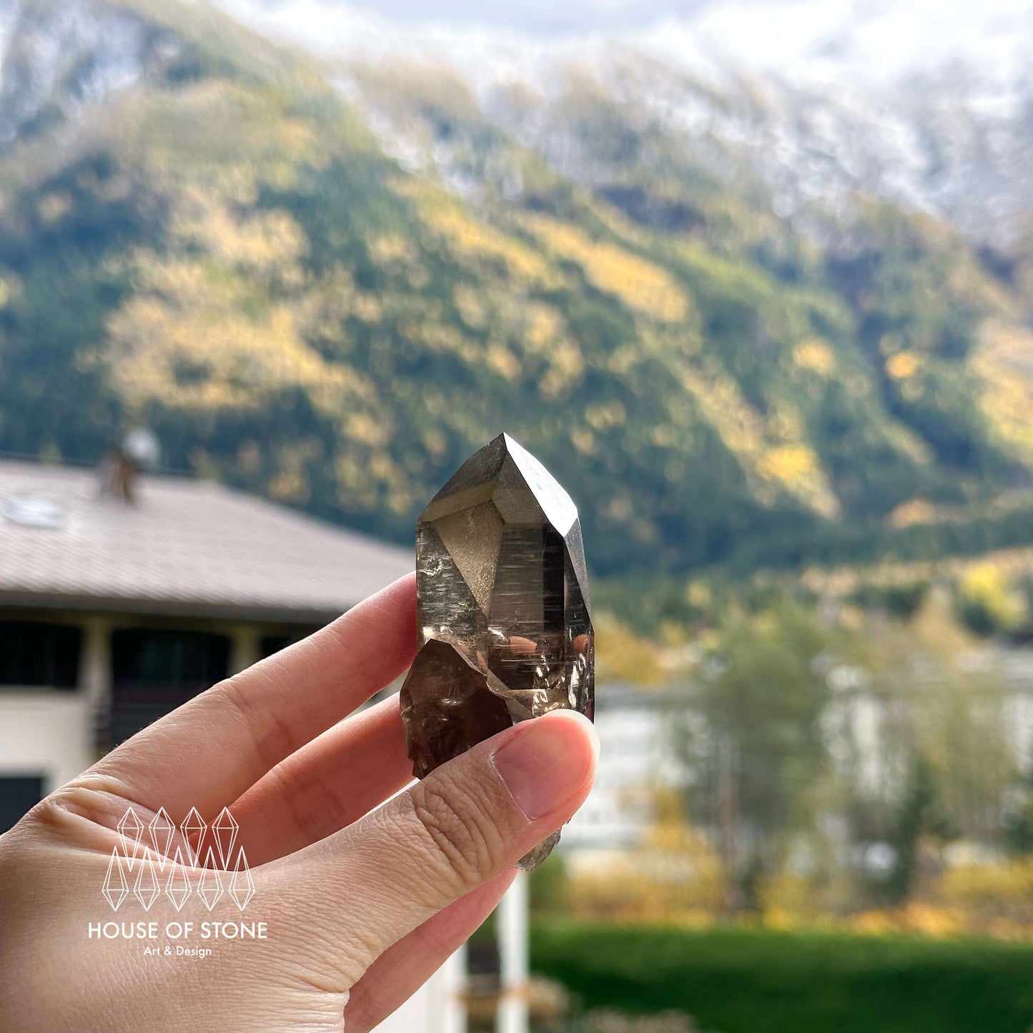 Alpine Mineral Smoky Quartz Point Specimen/Swiss Tower Apls/Double Terminated Quartz Points2