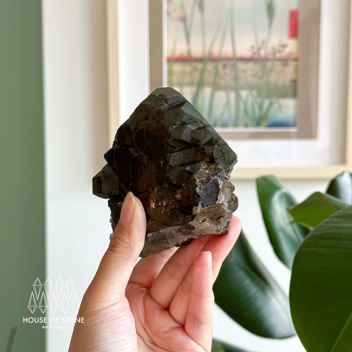 Alpine Mineral Large Swiss Gwindel Morion Smoky Quartz Specimen/Switzerland Gwindel Apls