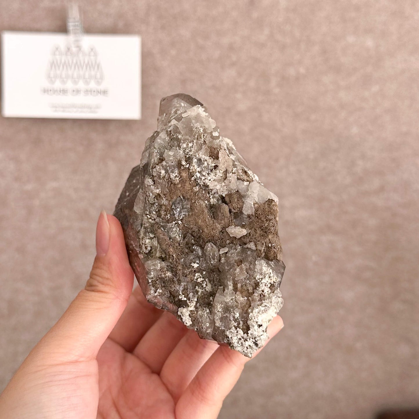 Apls Faden Quartz Specimen/Alpine Mineral Smoky Quartz/Adularia Quartz Chlorite Cluster/Chamonix-Mont-Blanc Mini Cluster/France