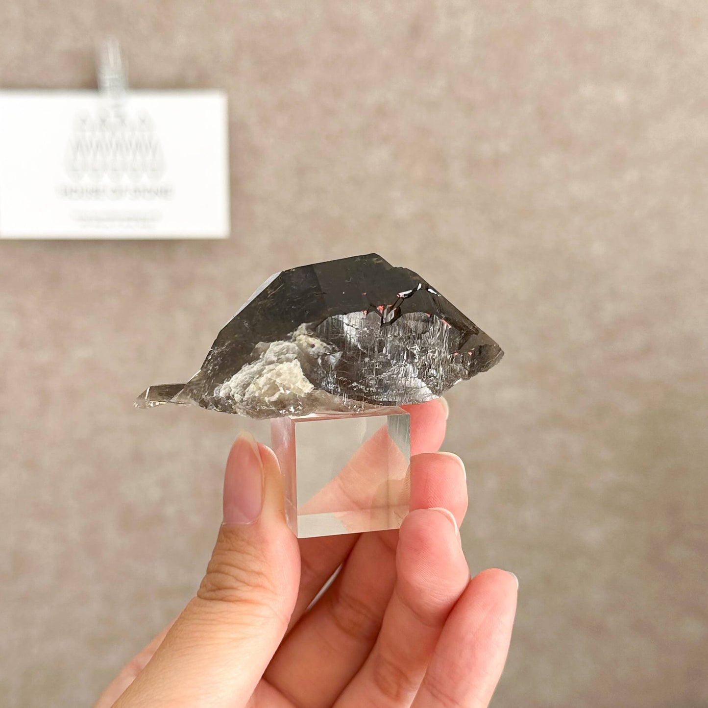 Alpine Mineral Swiss Gwindel Dark Smoky Quartz Specimen/Switzerland Gwindel Apls Crystal