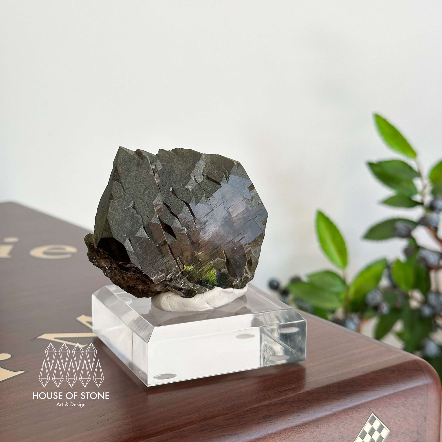 Alpine Mineral Swiss Gwindel Morion Smoky Quartz Specimen/Switzerland Gwindel Apls with Chlorite