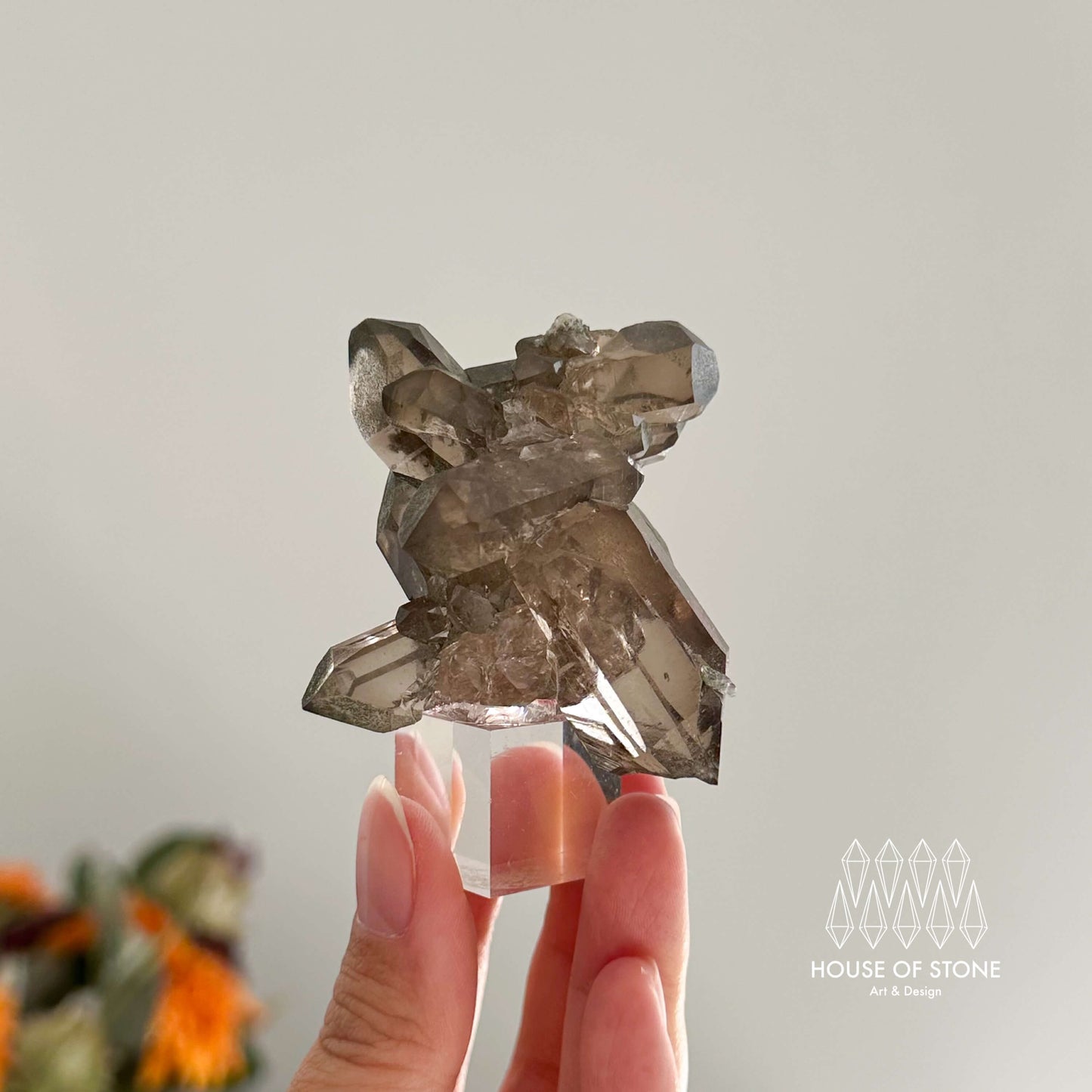 Alpine Mineral Small Swiss Faden Smoky Quartz Specimen/Switzerland Faden Quartz Apls