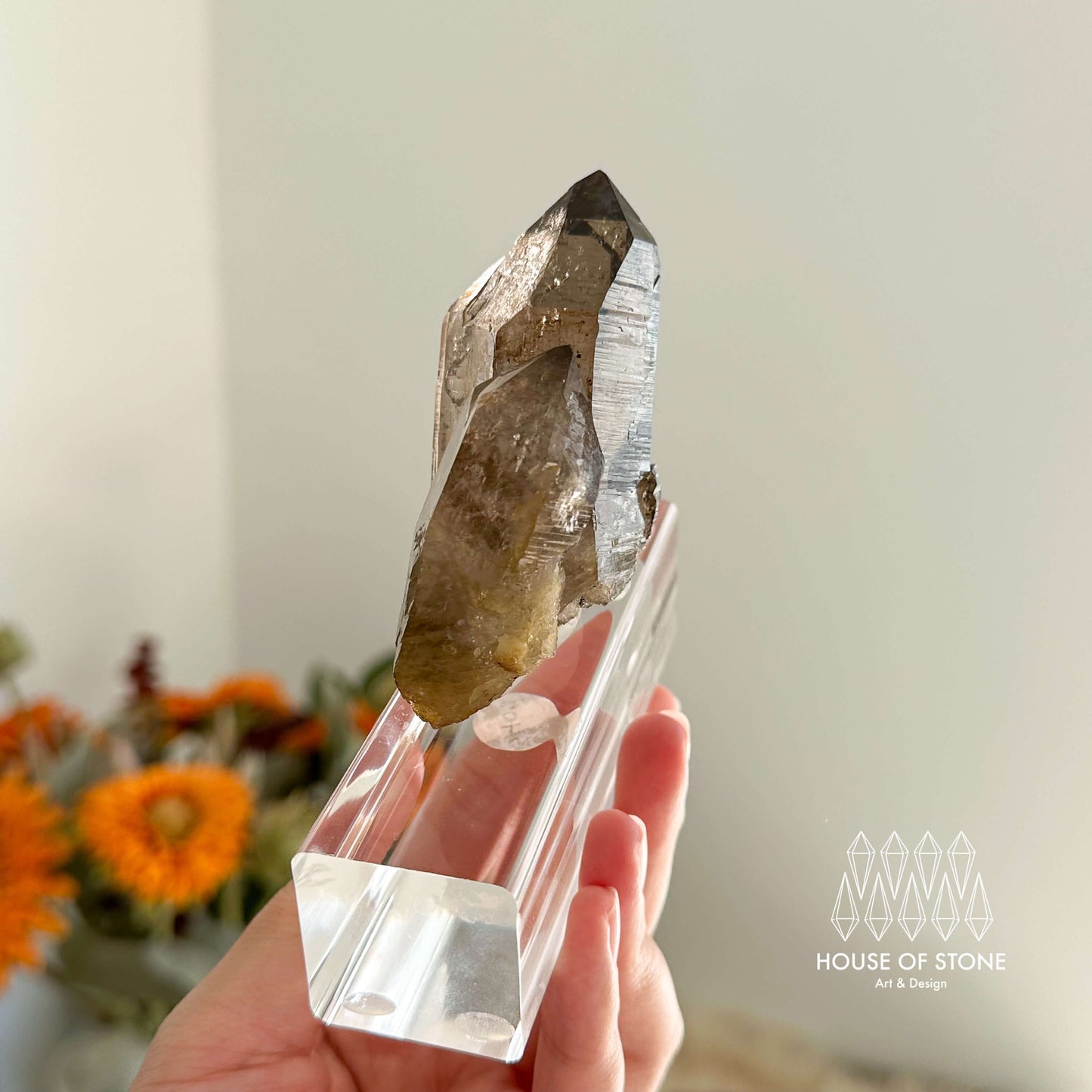 Alpine Mineral Smoky Quartz Point Specimen/Swiss Tower Apls/Double Terminated Quartz Points/Floater Quartz Cluster