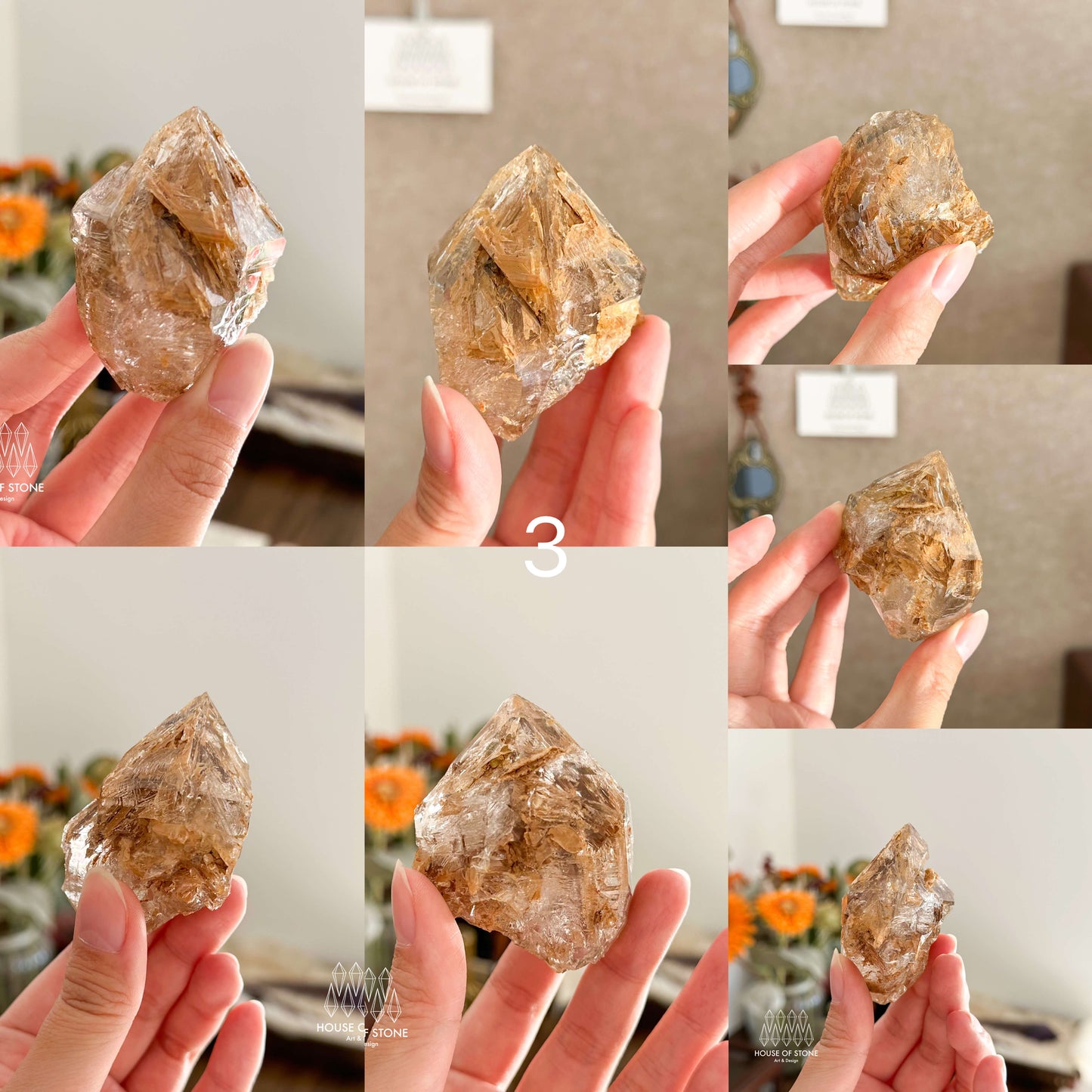 Swiss Skeletal Quartz Point Specimen/Switzerland Crystal Alpine Skeletal Quartz Mud Inclusions Mineral/Apls Double Terminated Window Quartz3