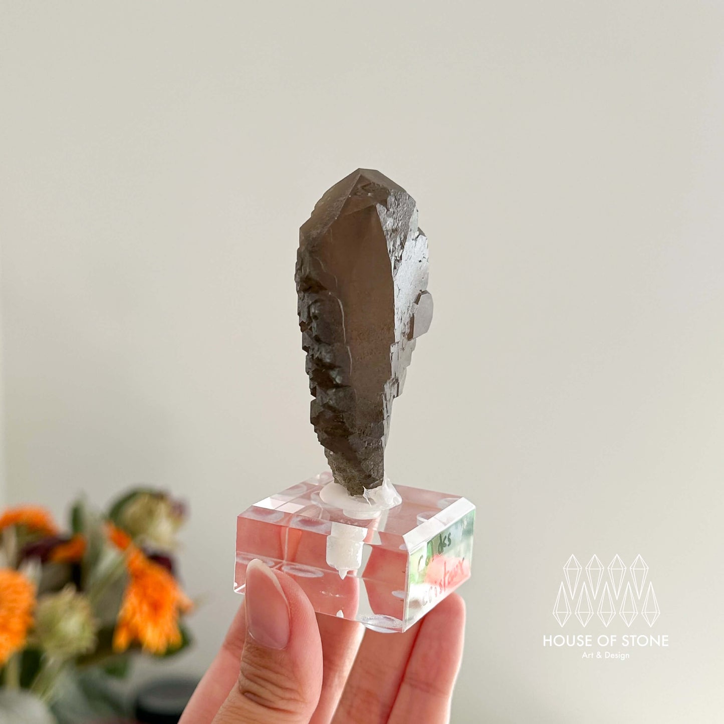 Alpine Mineral Swiss Gwindel Dark Smoky Quartz Specimen/Switzerland Gwindel Apls