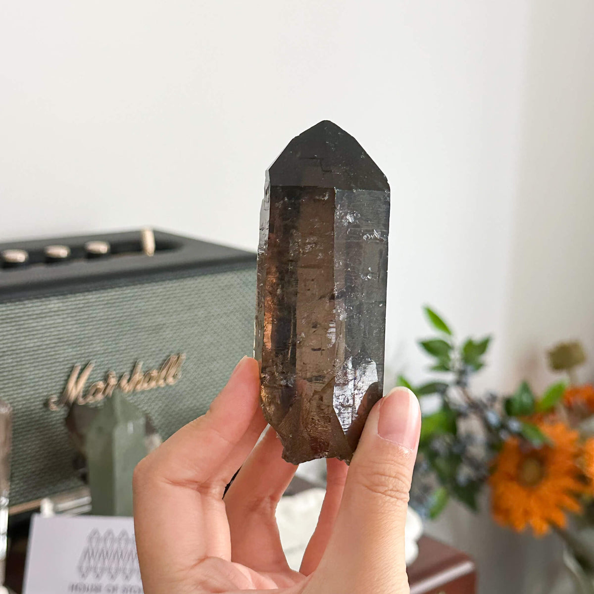 Swiss Smoky Quartz Point Specimen/Switzerland Dark Smoky Quartz Tower/Alpine Mineral/Apls Quartz