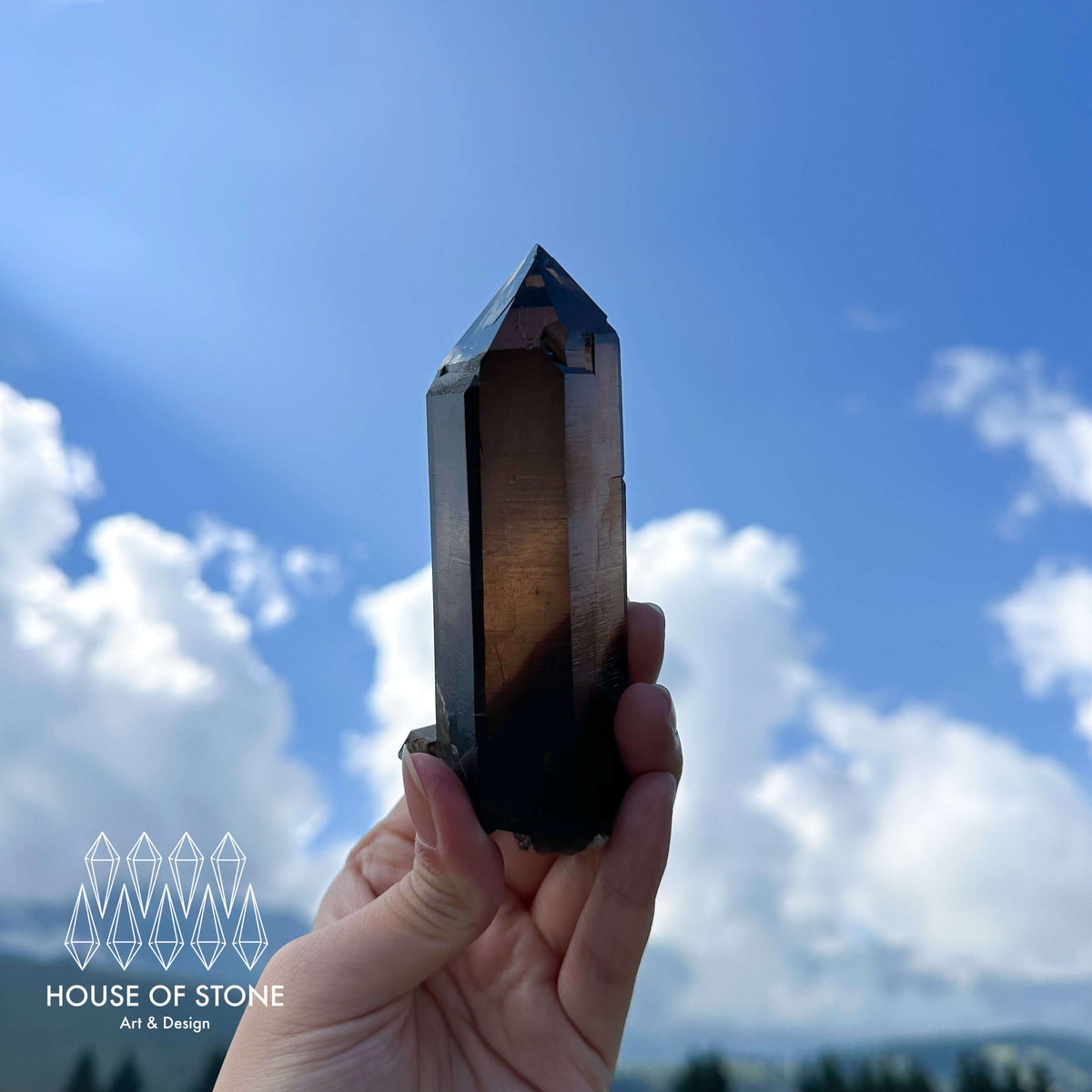 Alpine Mineral Morion Smoky Quartz Point Specimen/Swiss Tower Apls/Double Terminated Quartz Points/Dark Smoky Quartz Floater Quartz Cluster