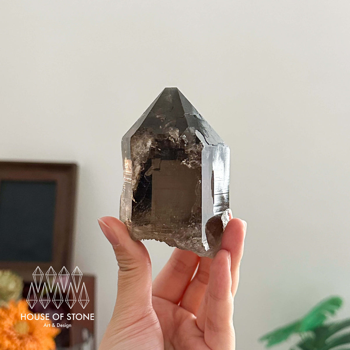 Swiss Smoky Quartz Point Specimen/Switzerland Smoky Quartz Tower with Floater/Alpine Mineral/Apls Quartz