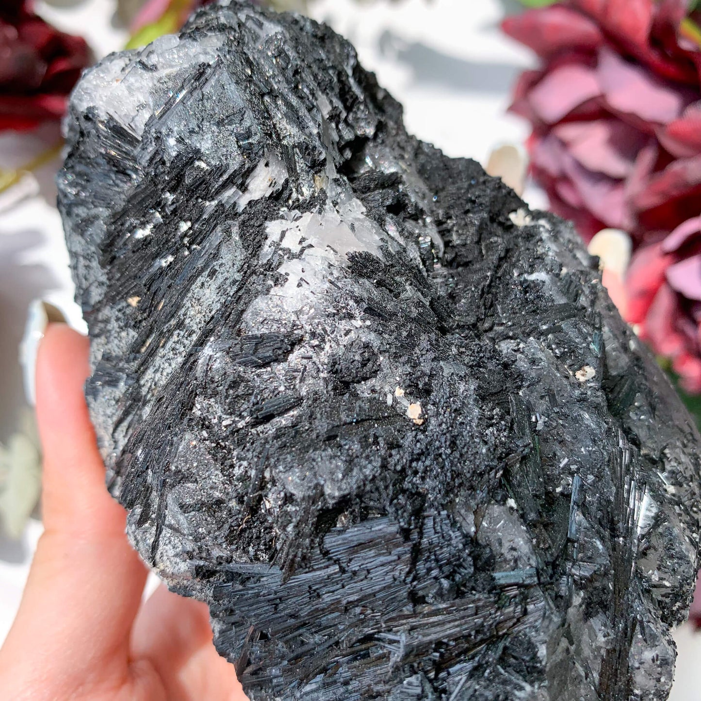 Natural Black Tourmaline with Quartz Specimen/Rare Black Tourmaline Specimen