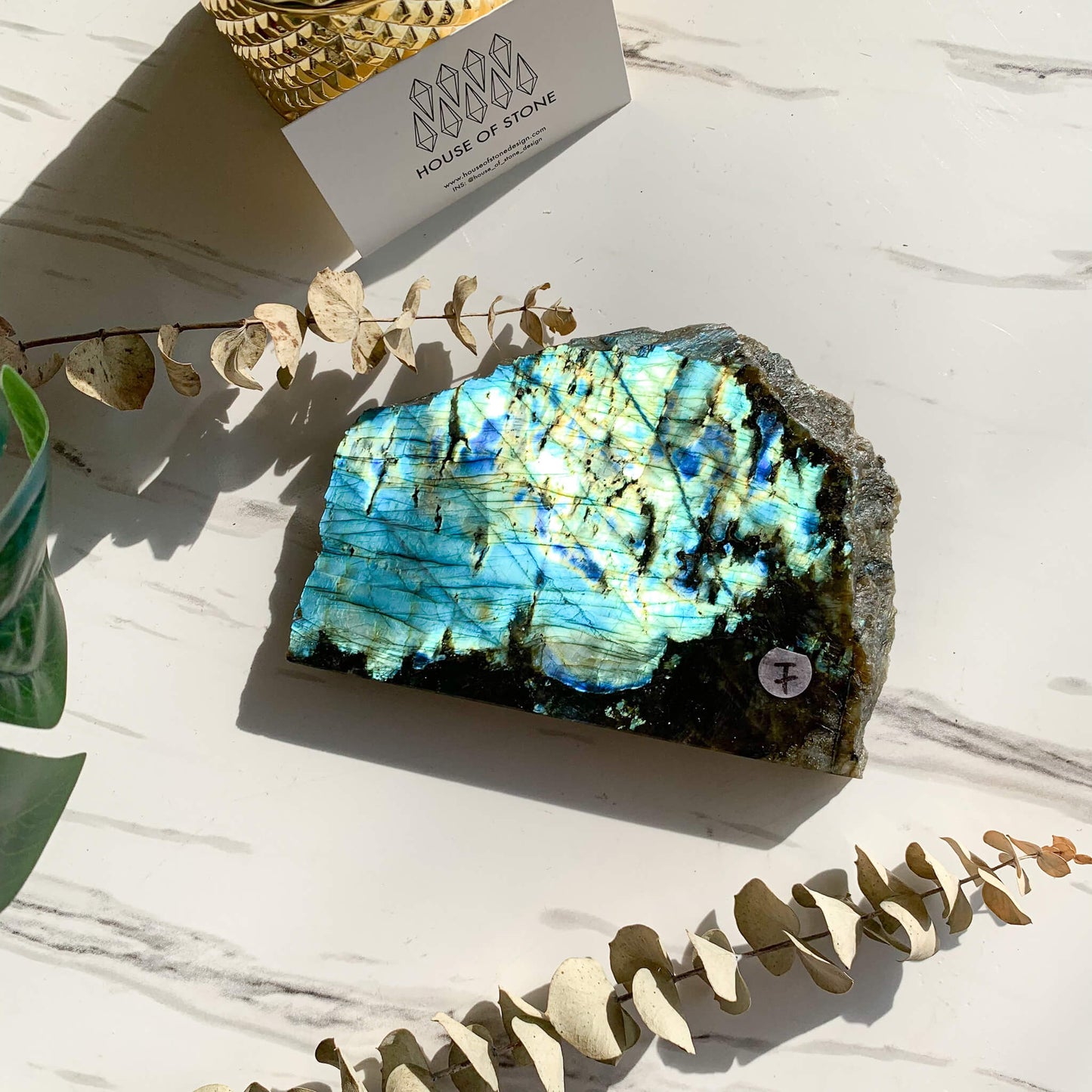 Large Labradorite Slab/Rainbow Flash Labradorite/Natural Labradorite Piece/Raw Labradorite