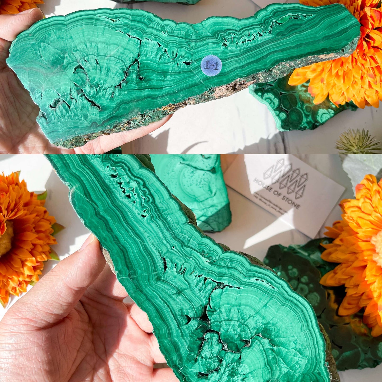 Genuine Malachite Polished Slab Specimen/Natural Malachite Slice/Polished Malachite Specimen