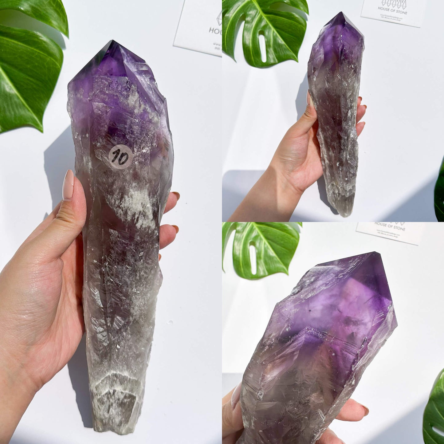 Natural Bahia Amethyst Point Wand/Large Raw Amethyst Dragon Tooth/Rare Amethyst Root/Natural Amethyst Root