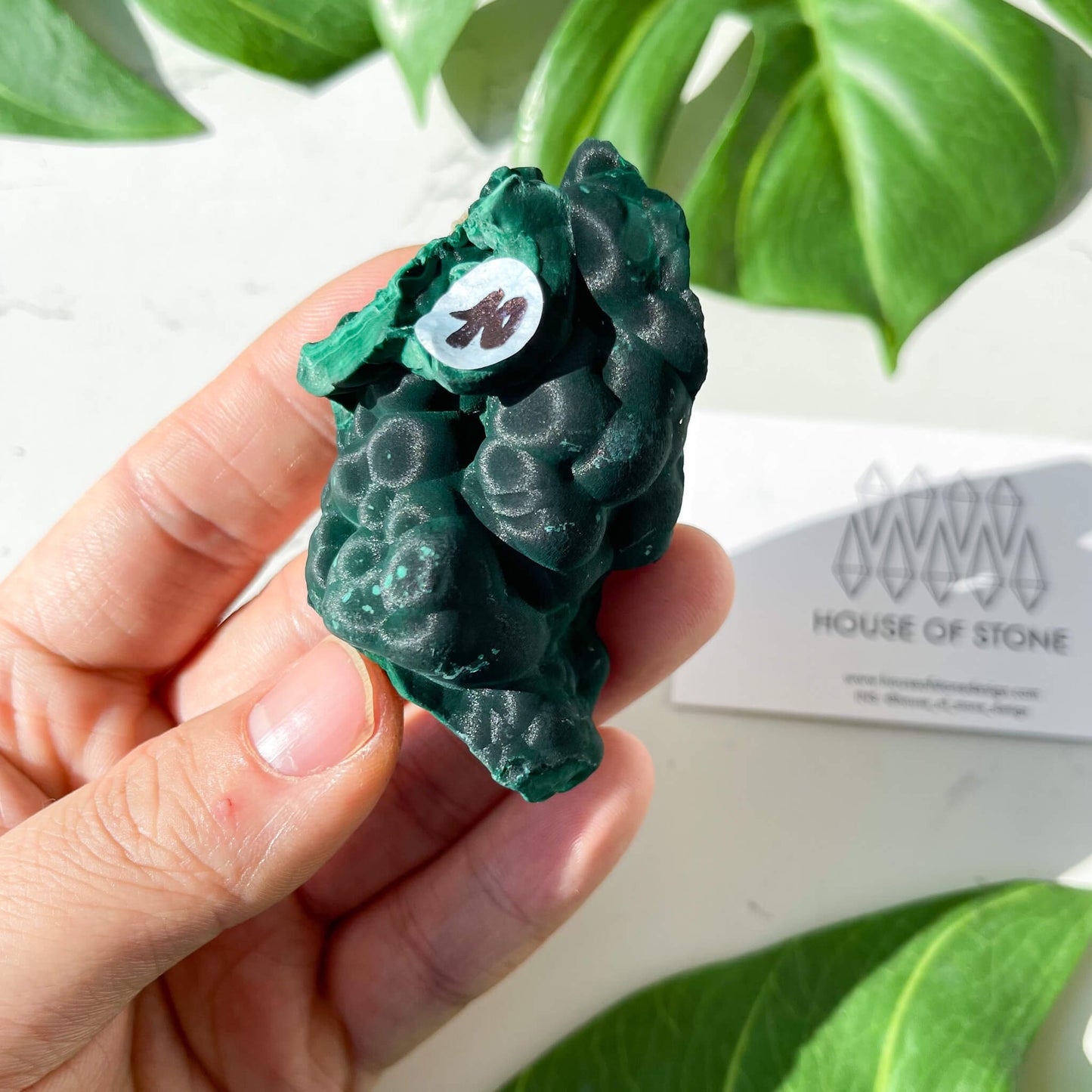 Natural Malachite Specimen/Raw Malachite/Velvet Malachite/Fibrous Velvet Malachite Crystal Specimen/Heart Chakra Healing/AAA