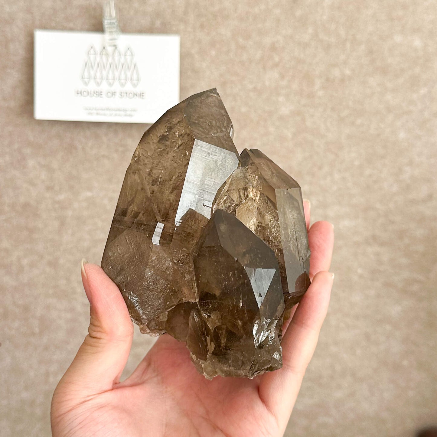 Alpine Mineral Smoky Quartz Point Cluster Specimen/Swiss Cluster Apls/Double Terminated Quartz Cluster