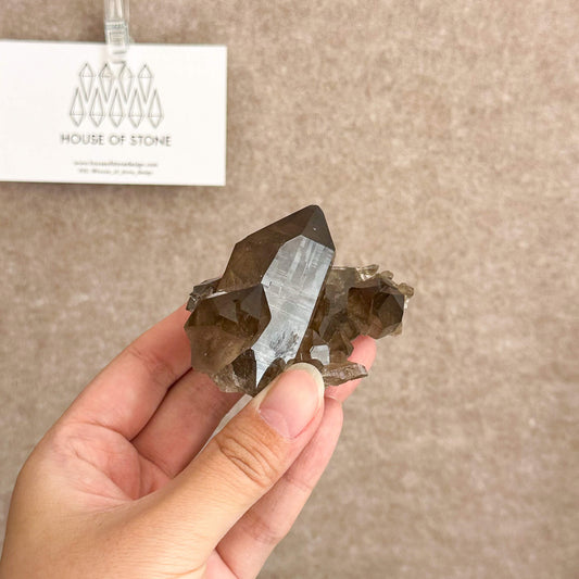 Alpine Mineral Dark Smoky Quartz Point Cluster Specimen/Small Swiss Cluster Apls/Double Terminated Quartz Cluster