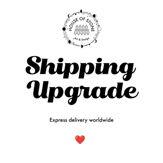 Shipping Upgrade/Extra Delivery Fee/Fast Shipping/Custom Shipping Fee