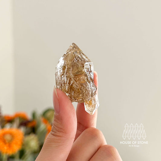 Swiss Skeletal Quartz Point Specimen/Switzerland Crystal Alpine Skeletal Quartz Mud Inclusions Mineral/Apls Double Terminated Window Quartz