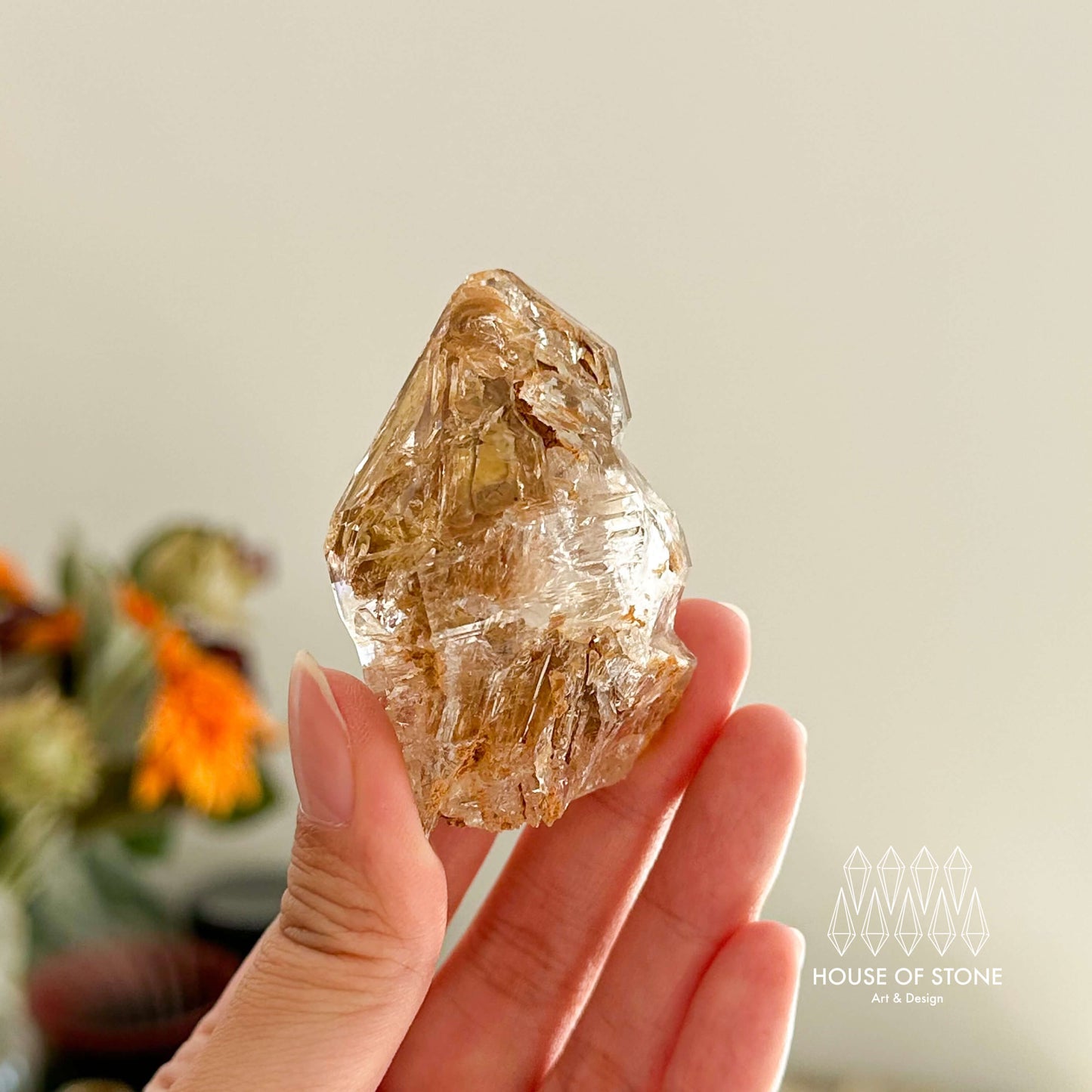 Swiss Skeletal Quartz Point Specimen/Switzerland Crystal Alpine Skeletal Quartz Mud Inclusions Mineral/Apls Double Terminated Window Quartz2