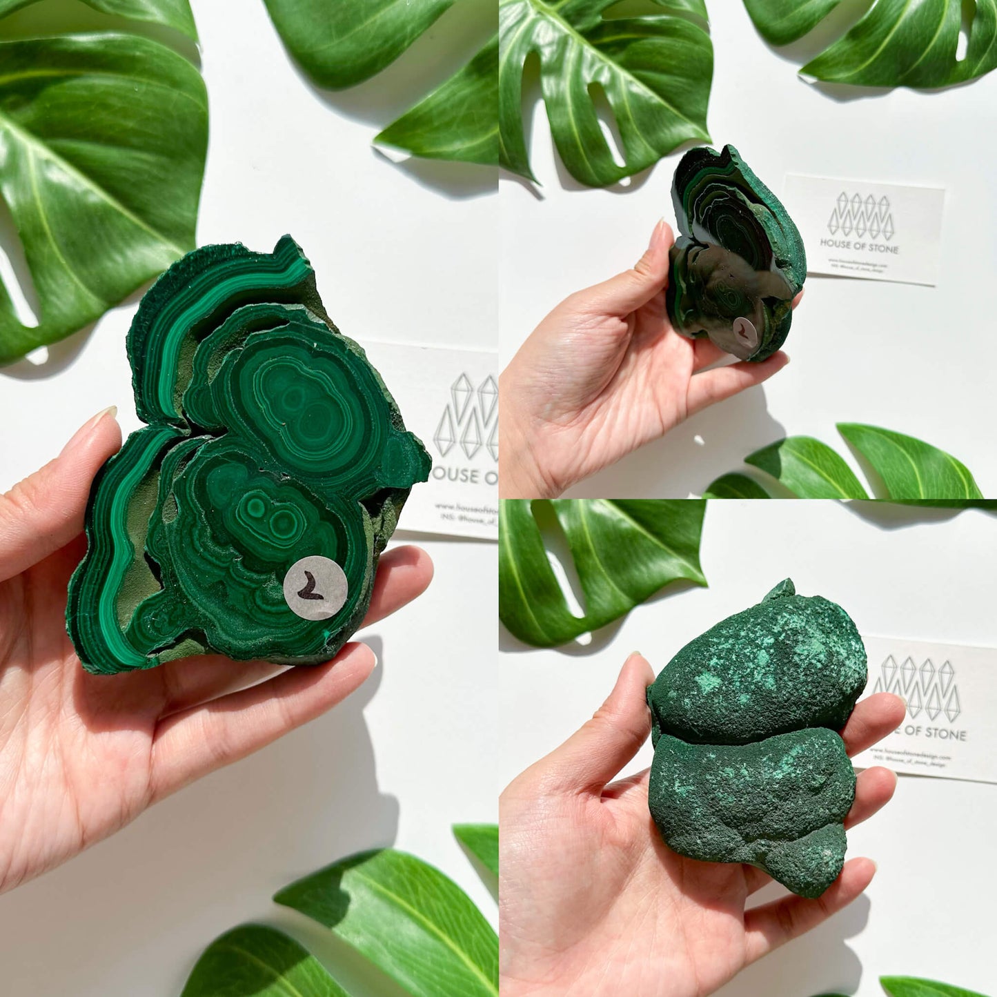 Genuine Malachite Polished Slab Specimen/Natural Malachite Slice/Raw Malachite/Chakra