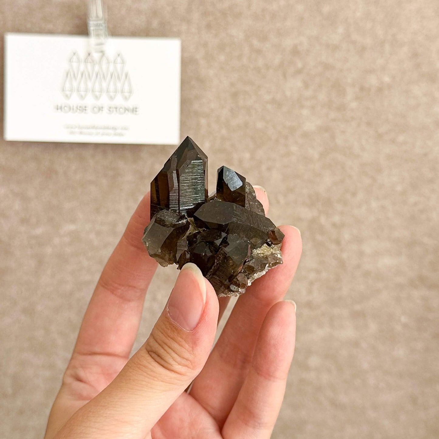 Alpine Mineral Morion Smoky Quartz Point Cluster Specimen/Small Swiss Cluster Apls/Double Terminated Quartz Cluster2