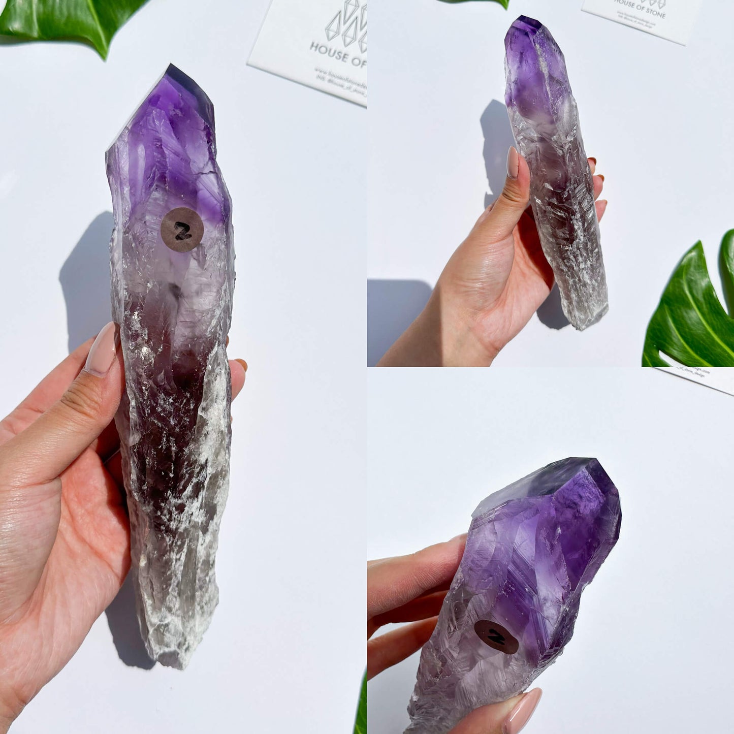 Natural Bahia Amethyst Point Wand/Large Raw Amethyst Dragon Tooth/Rare Amethyst Root/Natural Amethyst Root