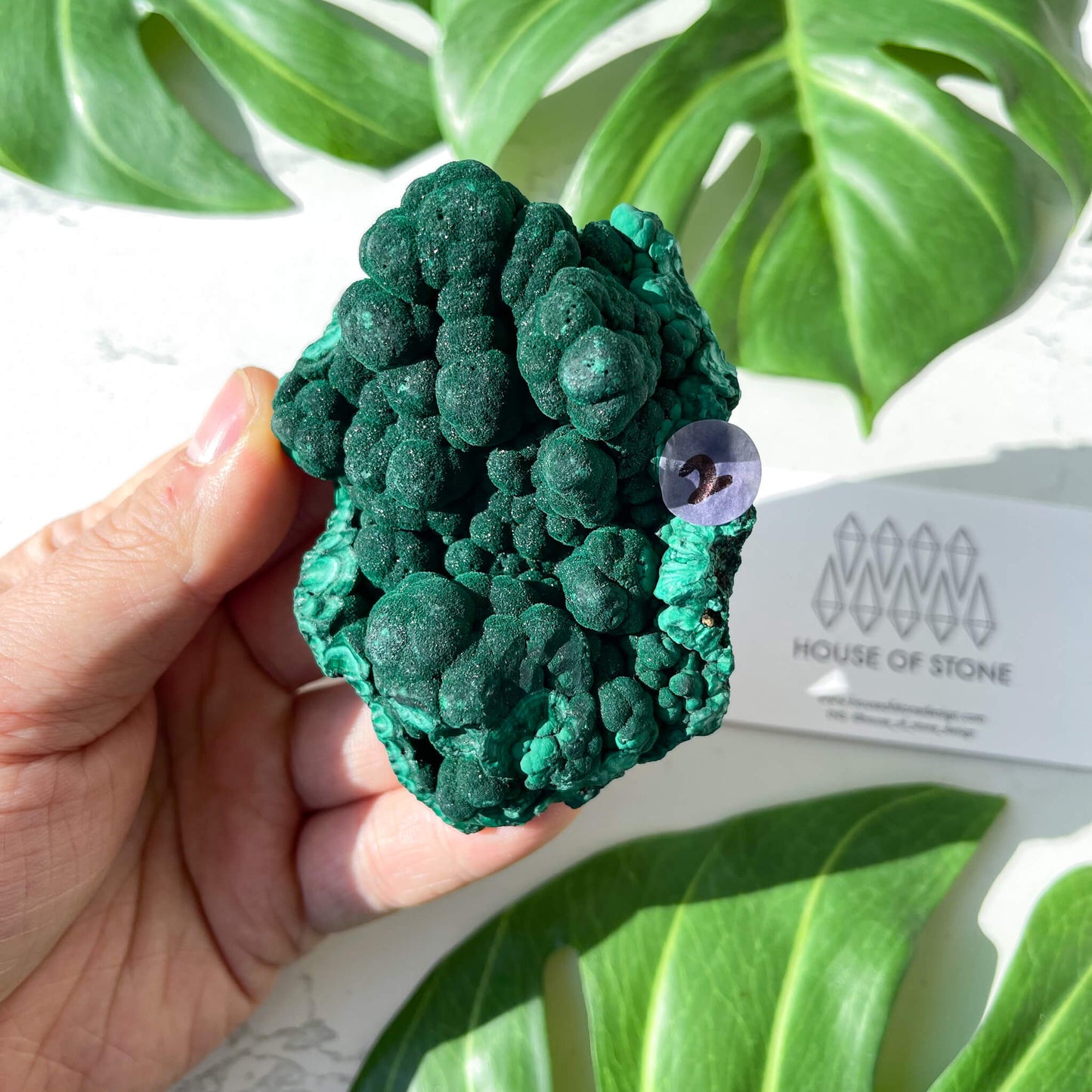 Natural Malachite Specimen/Raw Malachite/Velvet Malachite/Fibrous Velvet Malachite Crystal Specimen/Heart Chakra Healing/AAA