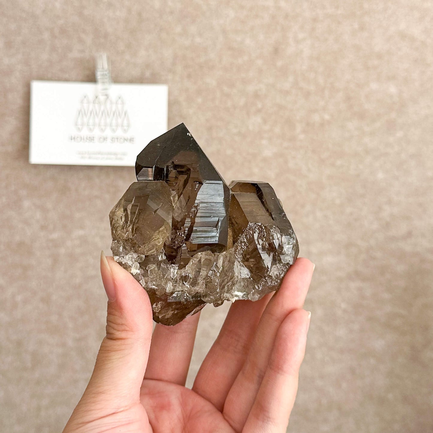 Alpine Mineral Smoky Quartz Point Cluster Specimen/Swiss Cluster Apls/Double Terminated Quartz Cluster2