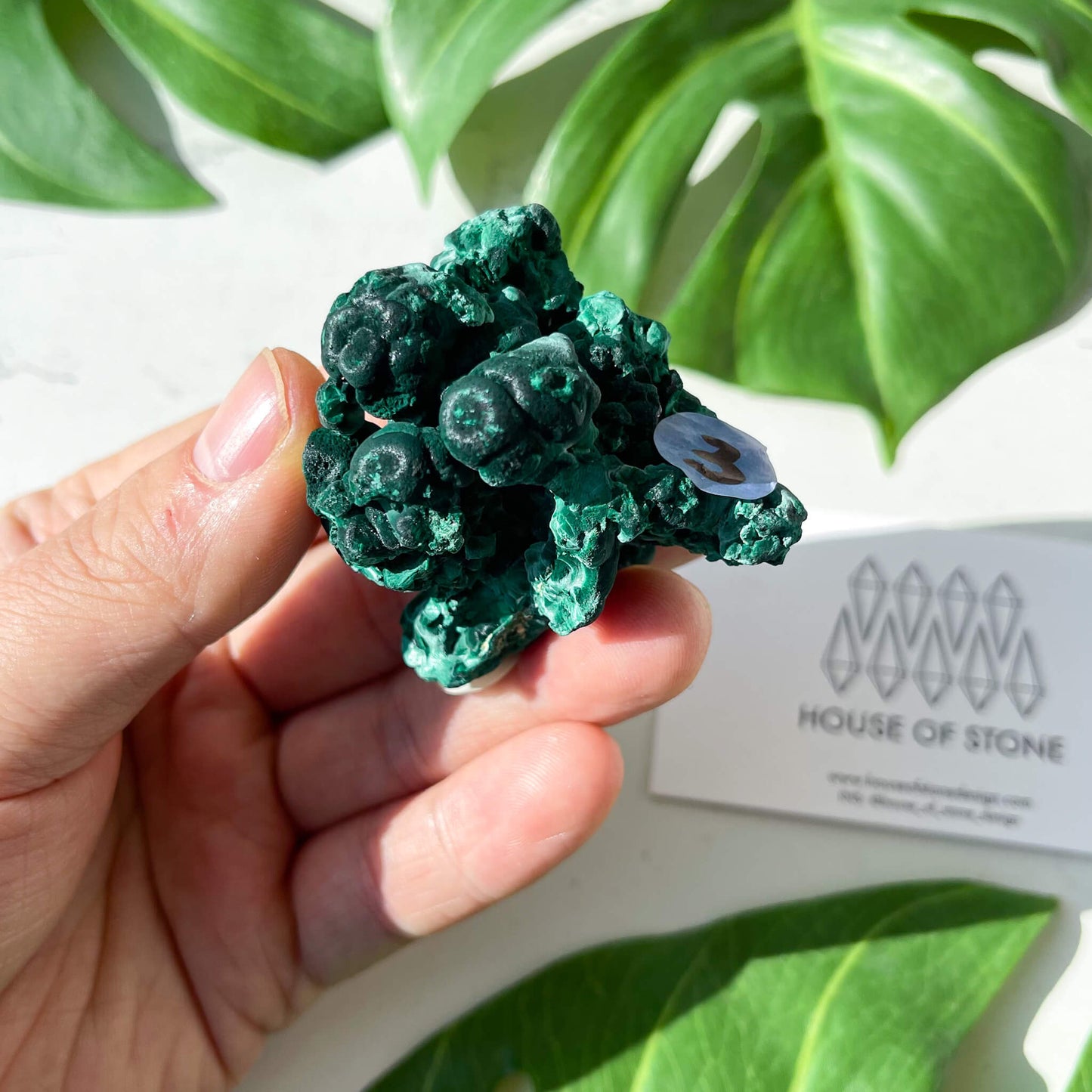 Natural Malachite Specimen/Raw Malachite/Velvet Malachite/Fibrous Velvet Malachite Crystal Specimen/Heart Chakra Healing/AAA