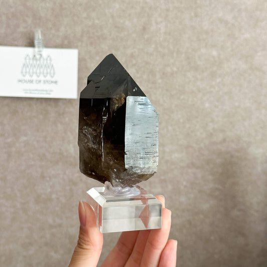 Alpine Mineral Large Smoky Quartz Point Specimen/Mont Blanc France Tower Apls3