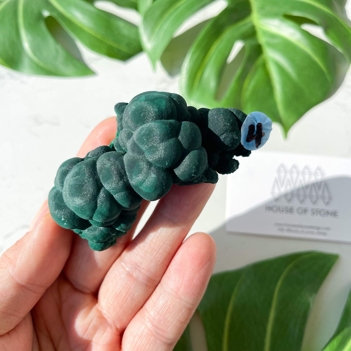 Natural Malachite Specimen/Raw Malachite/Velvet Malachite/Fibrous Velvet Malachite Crystal Specimen/Heart Chakra Healing/AAA