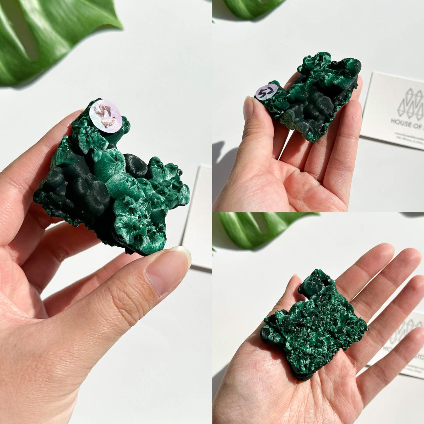 Natural Malachite Specimen/Raw Malachite/Velvet Malachite/Fibrous Velvet Malachite Crystal Specimen/Heart Chakra Healing/AAA