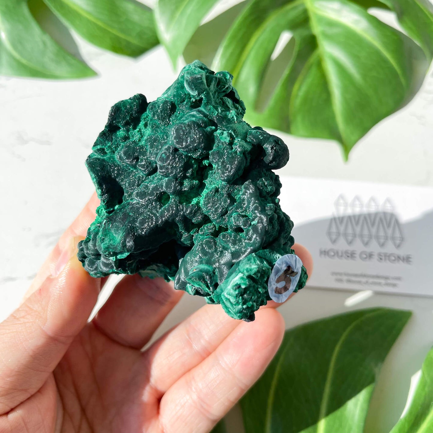 Natural Malachite Specimen/Raw Malachite/Velvet Malachite/Fibrous Velvet Malachite Crystal Specimen/Heart Chakra Healing/AAA