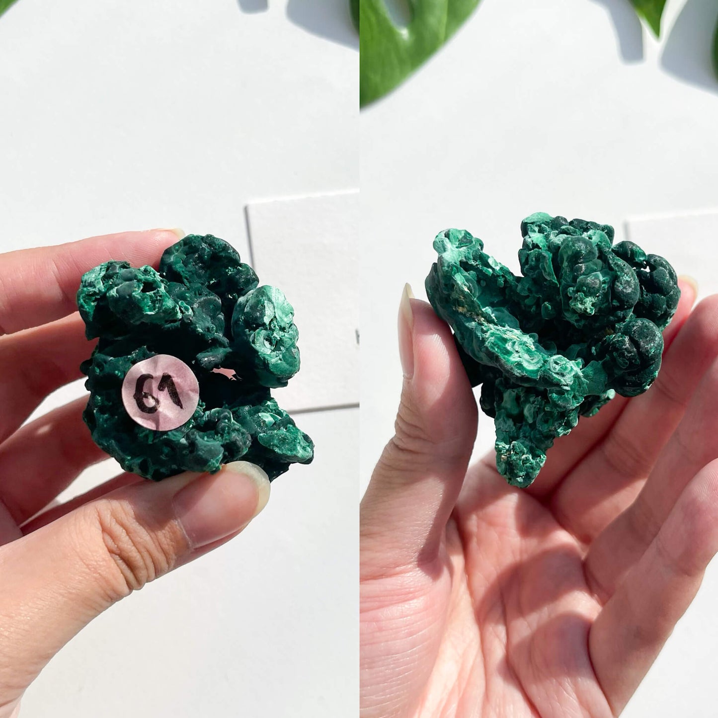 Natural Malachite Specimen/Raw Malachite/Velvet Malachite/Fibrous Velvet Malachite Crystal Specimen/Heart Chakra Healing/AAA