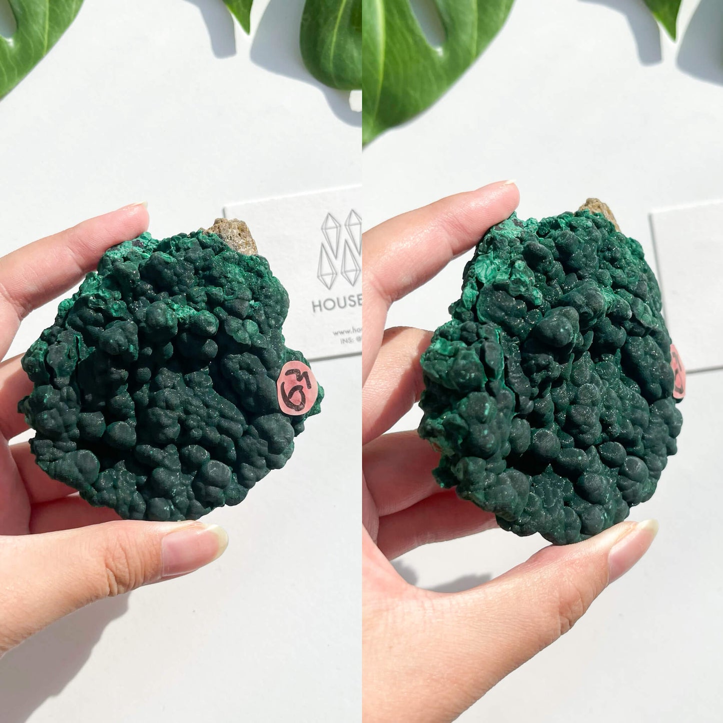 Natural Malachite Specimen/Raw Malachite/Velvet Malachite/Fibrous Velvet Malachite Crystal Specimen/Heart Chakra Healing/AAA