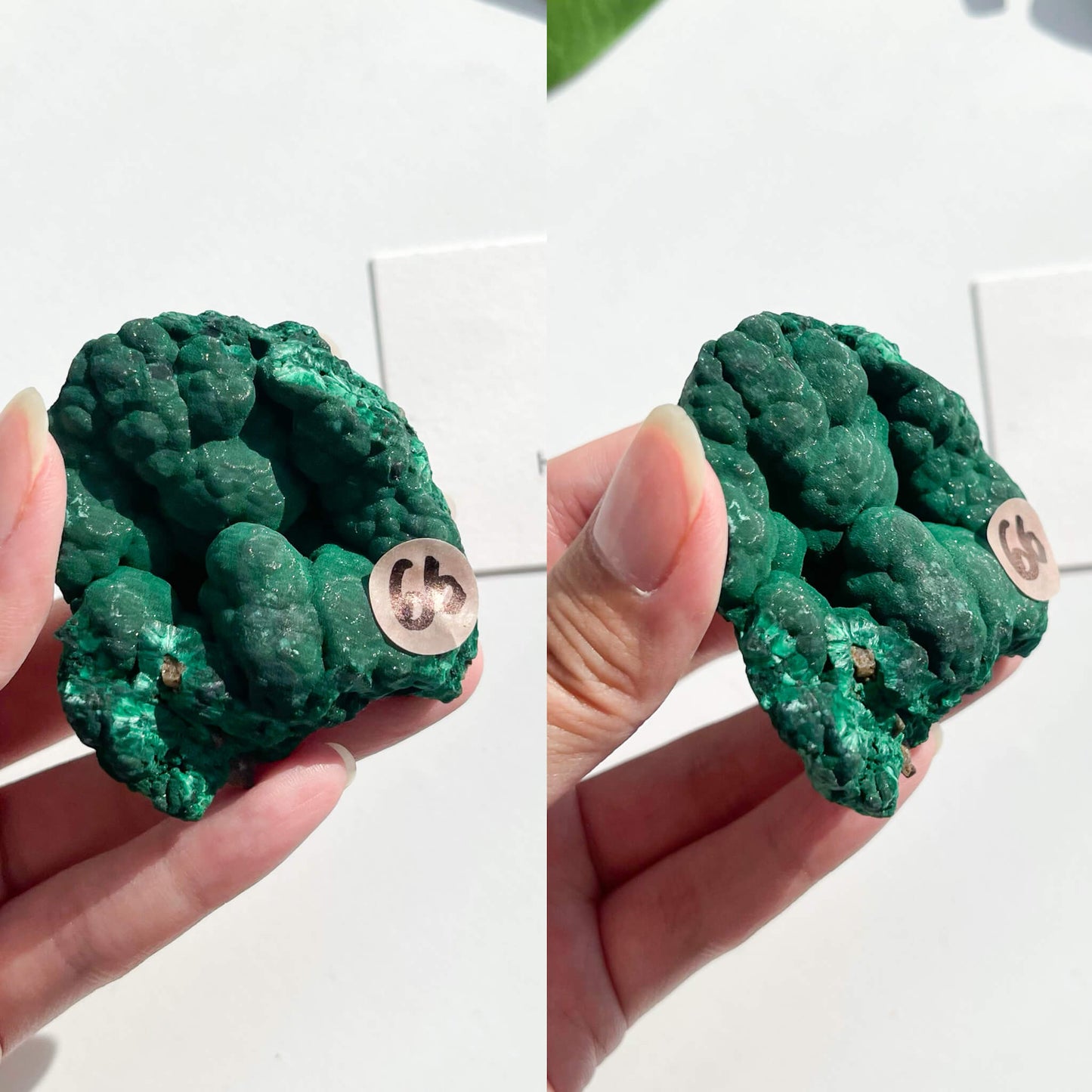 Natural Malachite Specimen/Raw Malachite/Velvet Malachite/Fibrous Velvet Malachite Crystal Specimen/Heart Chakra Healing/AAA