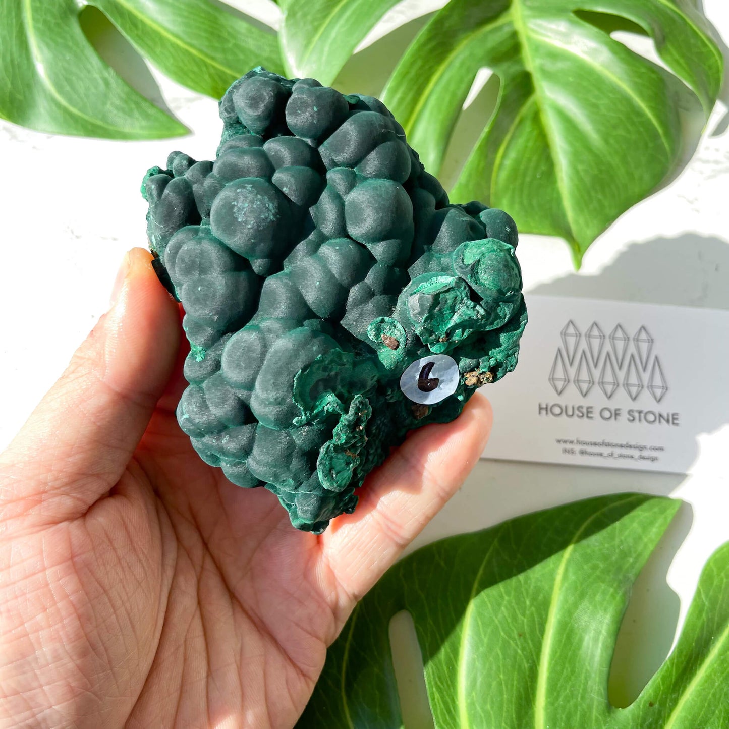 Natural Malachite Specimen/Raw Malachite/Velvet Malachite/Fibrous Velvet Malachite Crystal Specimen/Heart Chakra Healing/AAA