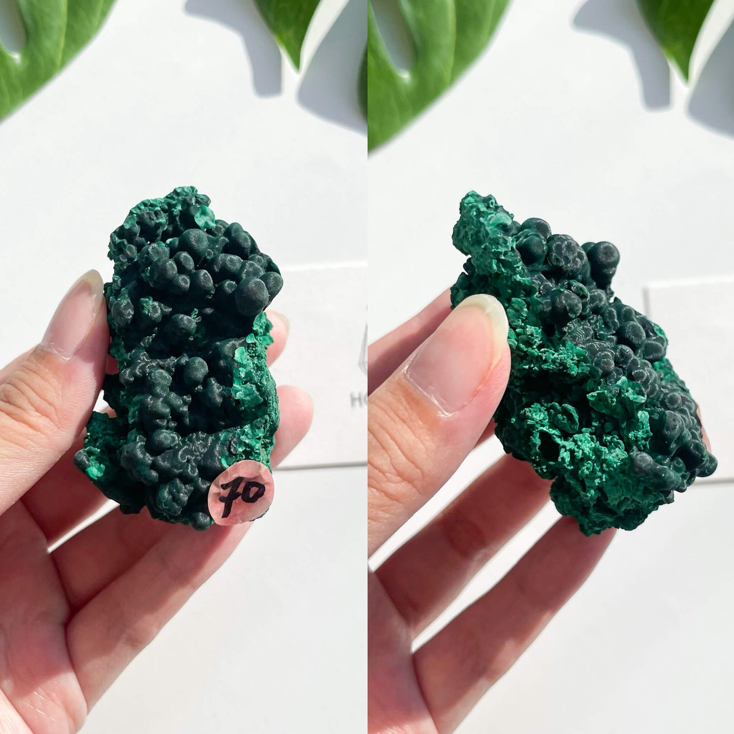 Natural Malachite Specimen/Raw Malachite/Velvet Malachite/Fibrous Velvet Malachite Crystal Specimen/Heart Chakra Healing/AAA