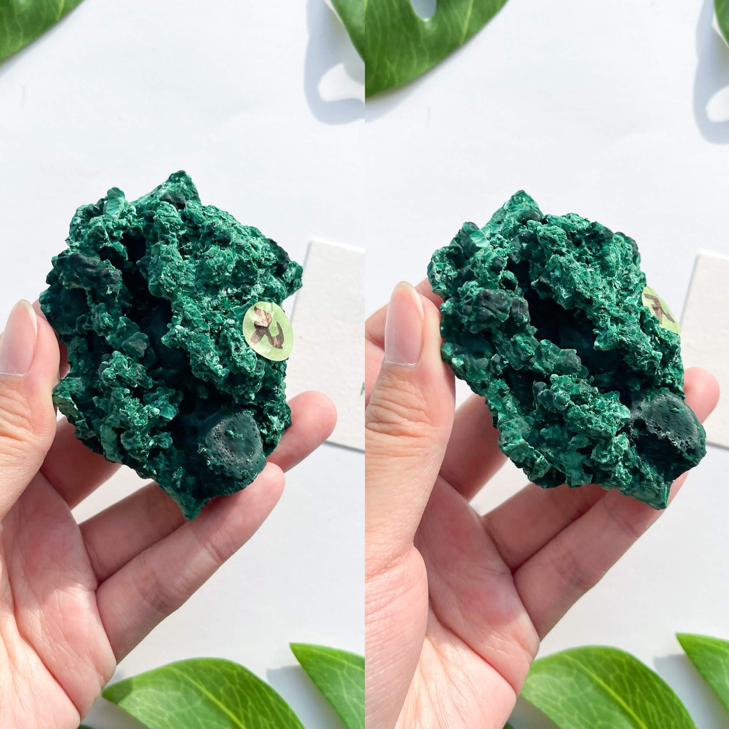 Natural Malachite Specimen/Raw Malachite/Velvet Malachite/Fibrous Velvet Malachite Crystal Specimen/Heart Chakra Healing/AAA