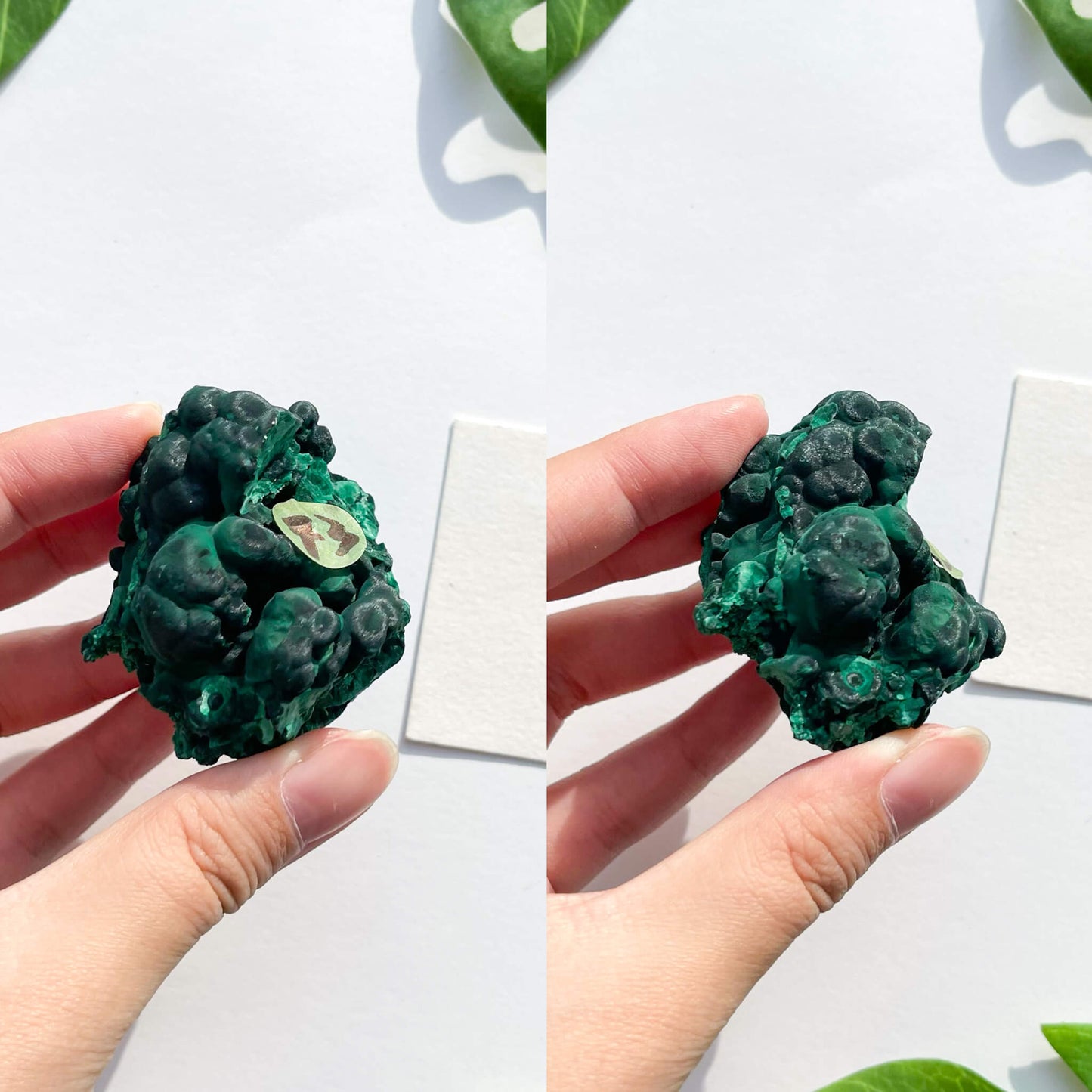 Natural Malachite Specimen/Raw Malachite/Velvet Malachite/Fibrous Velvet Malachite Crystal Specimen/Heart Chakra Healing/AAA