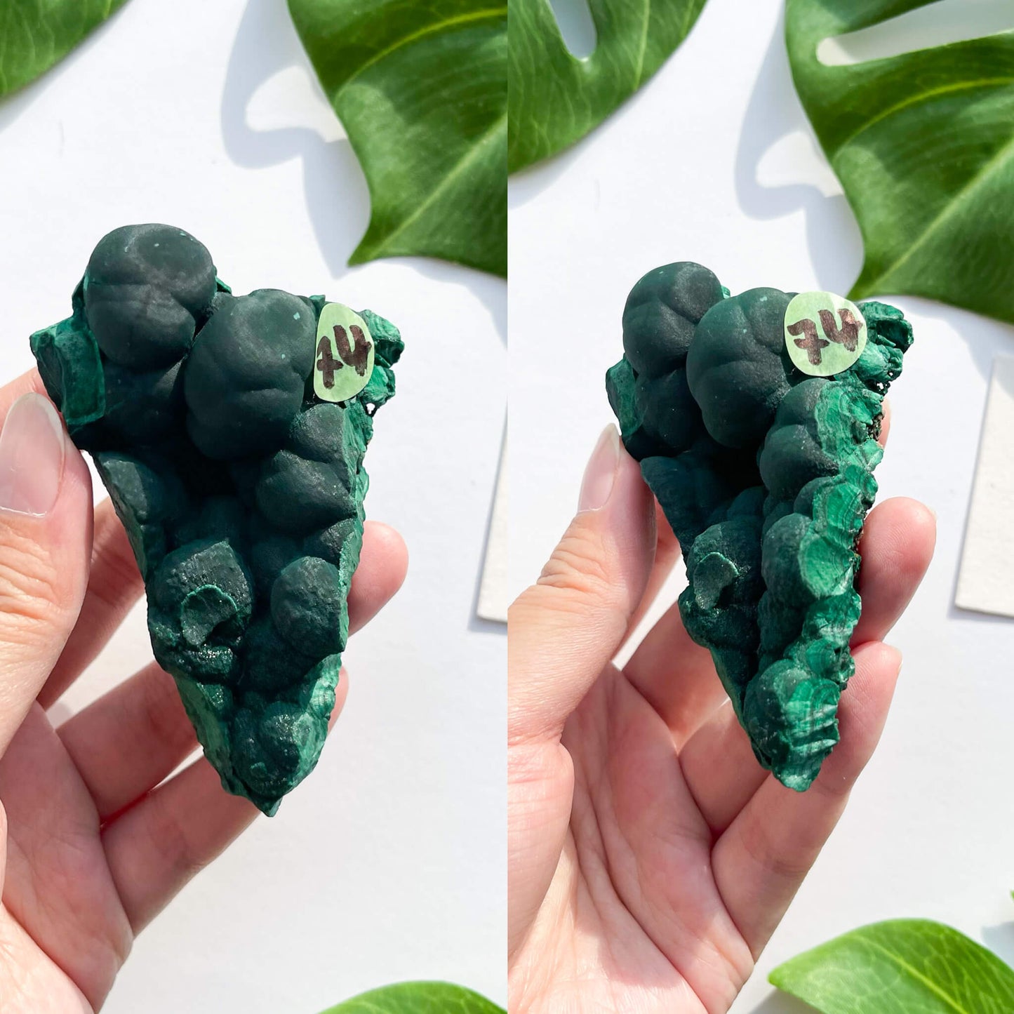 Natural Malachite Specimen/Raw Malachite/Velvet Malachite/Fibrous Velvet Malachite Crystal Specimen/Heart Chakra Healing/AAA