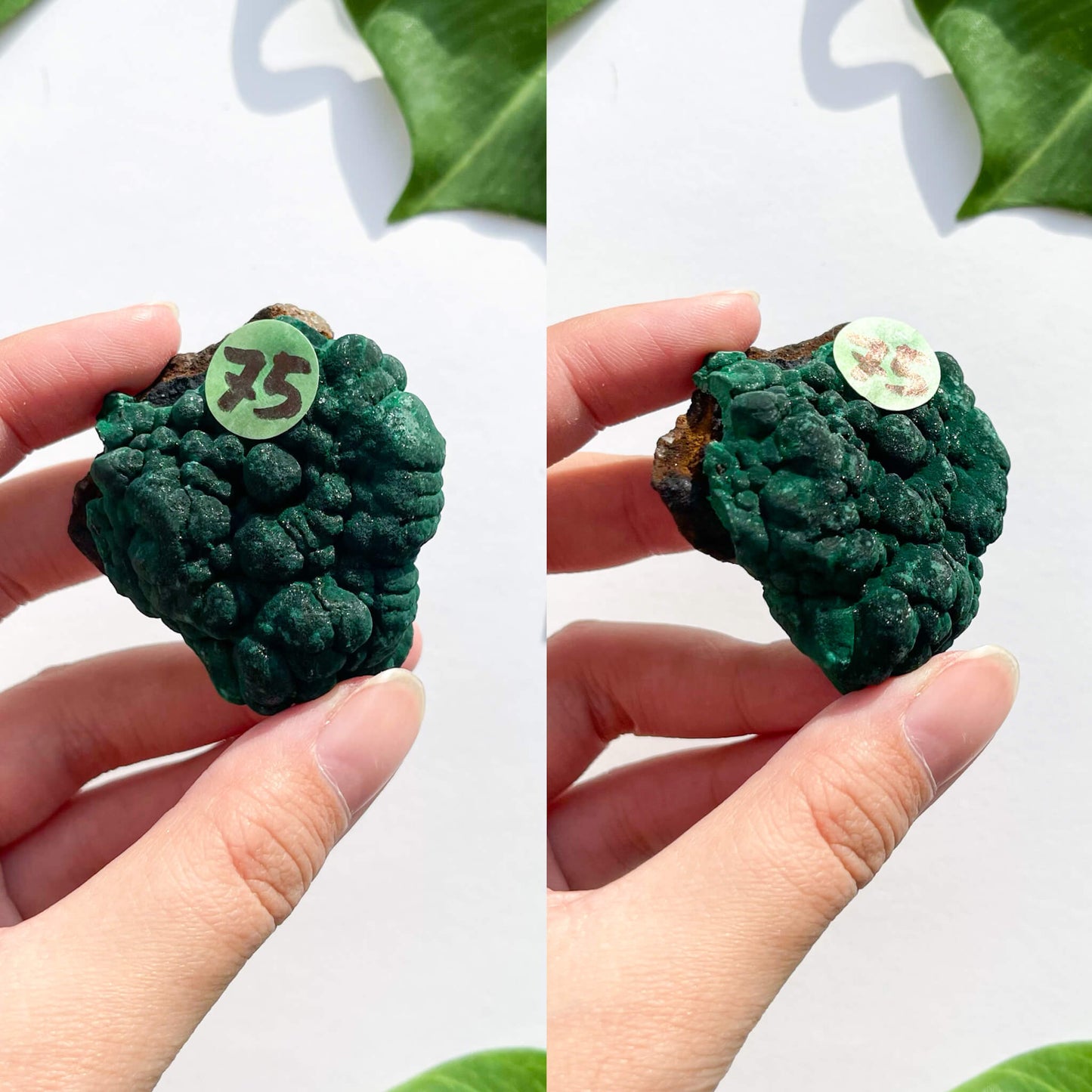 Natural Malachite Specimen/Raw Malachite/Velvet Malachite/Fibrous Velvet Malachite Crystal Specimen/Heart Chakra Healing/AAA