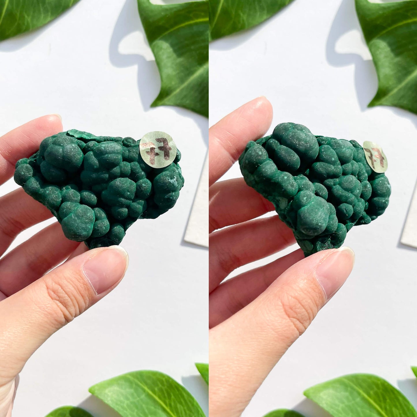 Natural Malachite Specimen/Raw Malachite/Velvet Malachite/Fibrous Velvet Malachite Crystal Specimen/Heart Chakra Healing/AAA