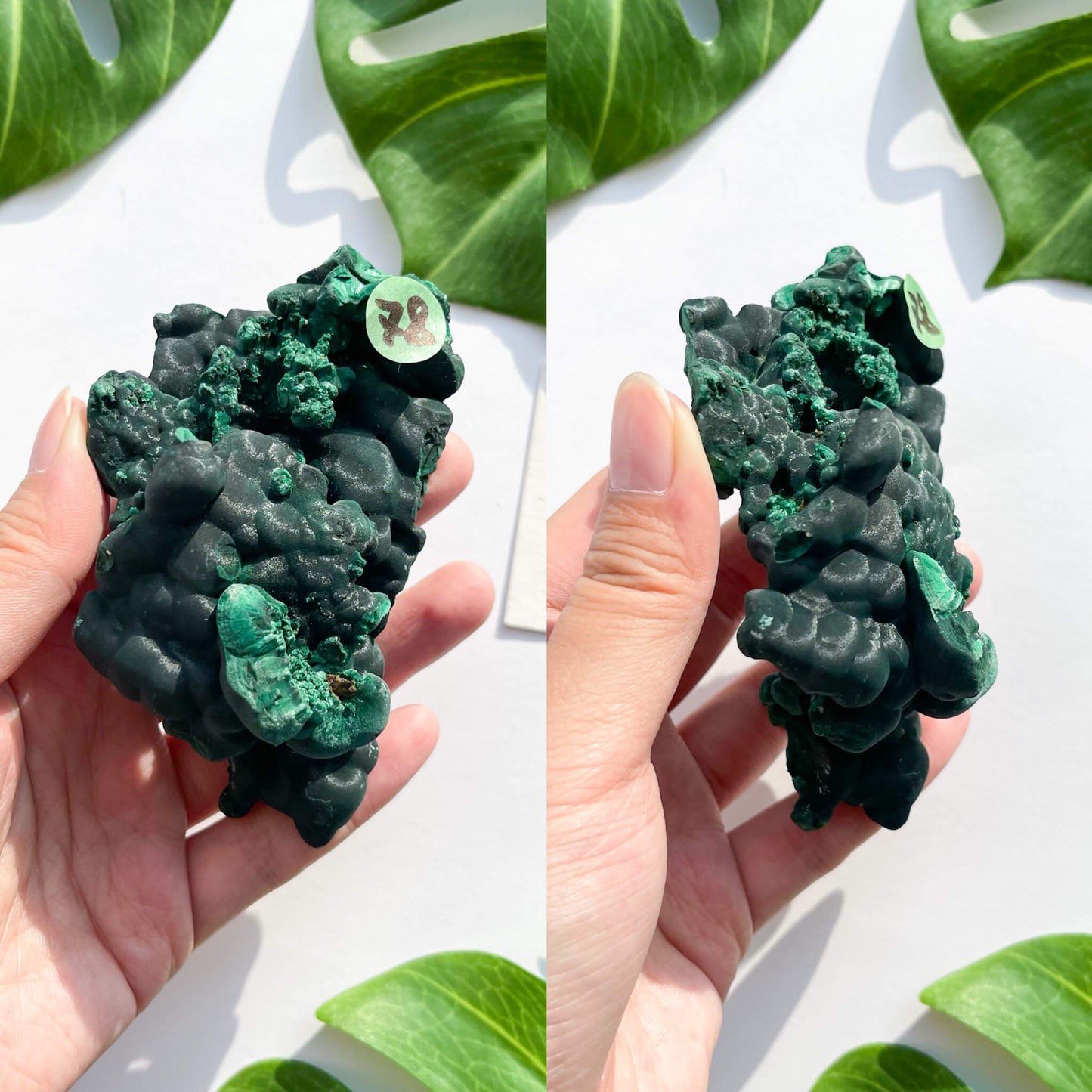 Natural Malachite Specimen/Raw Malachite/Velvet Malachite/Fibrous Velvet Malachite Crystal Specimen/Heart Chakra Healing/AAA