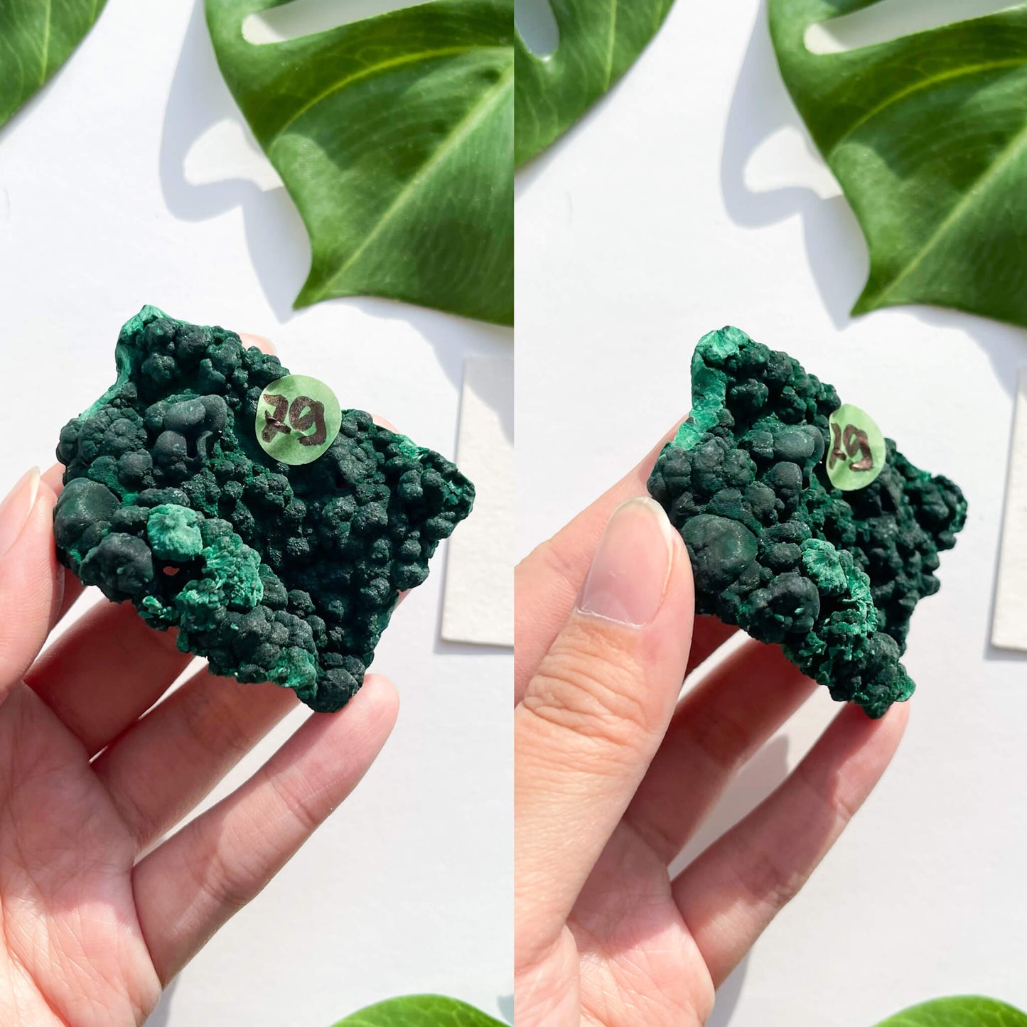 Natural Malachite Specimen/Raw Malachite/Velvet Malachite/Fibrous Velvet Malachite Crystal Specimen/Heart Chakra Healing/AAA