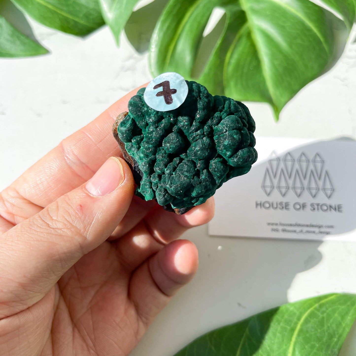 Natural Malachite Specimen/Raw Malachite/Velvet Malachite/Fibrous Velvet Malachite Crystal Specimen/Heart Chakra Healing/AAA