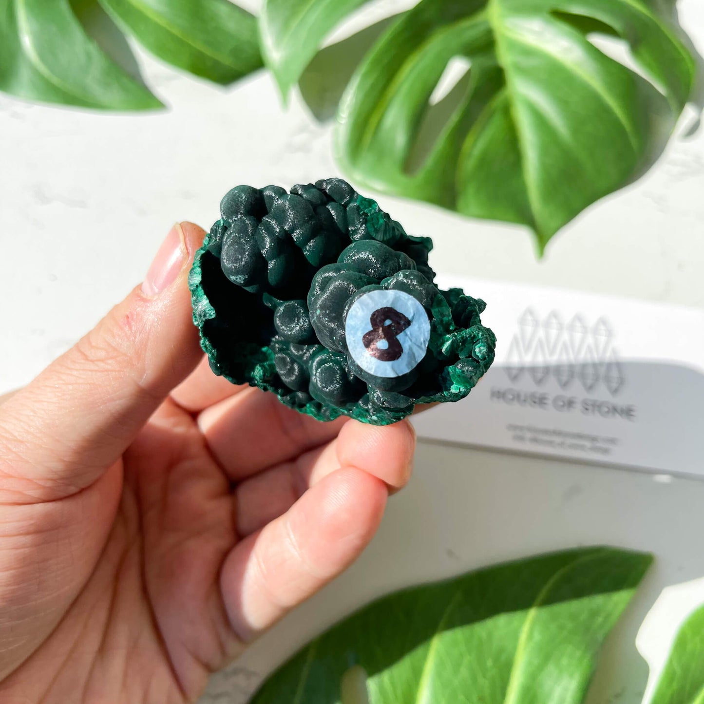 Natural Malachite Specimen/Raw Malachite/Velvet Malachite/Fibrous Velvet Malachite Crystal Specimen/Heart Chakra Healing/AAA