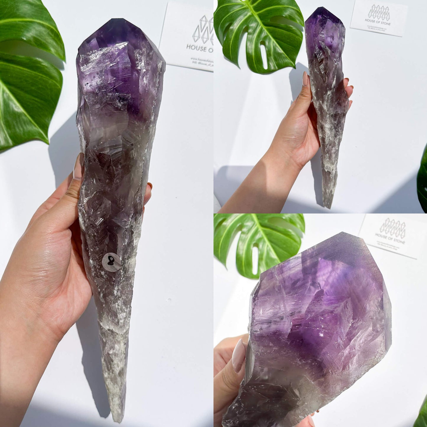 Natural Bahia Amethyst Point Wand/Large Raw Amethyst Dragon Tooth/Rare Amethyst Root/Natural Amethyst Root