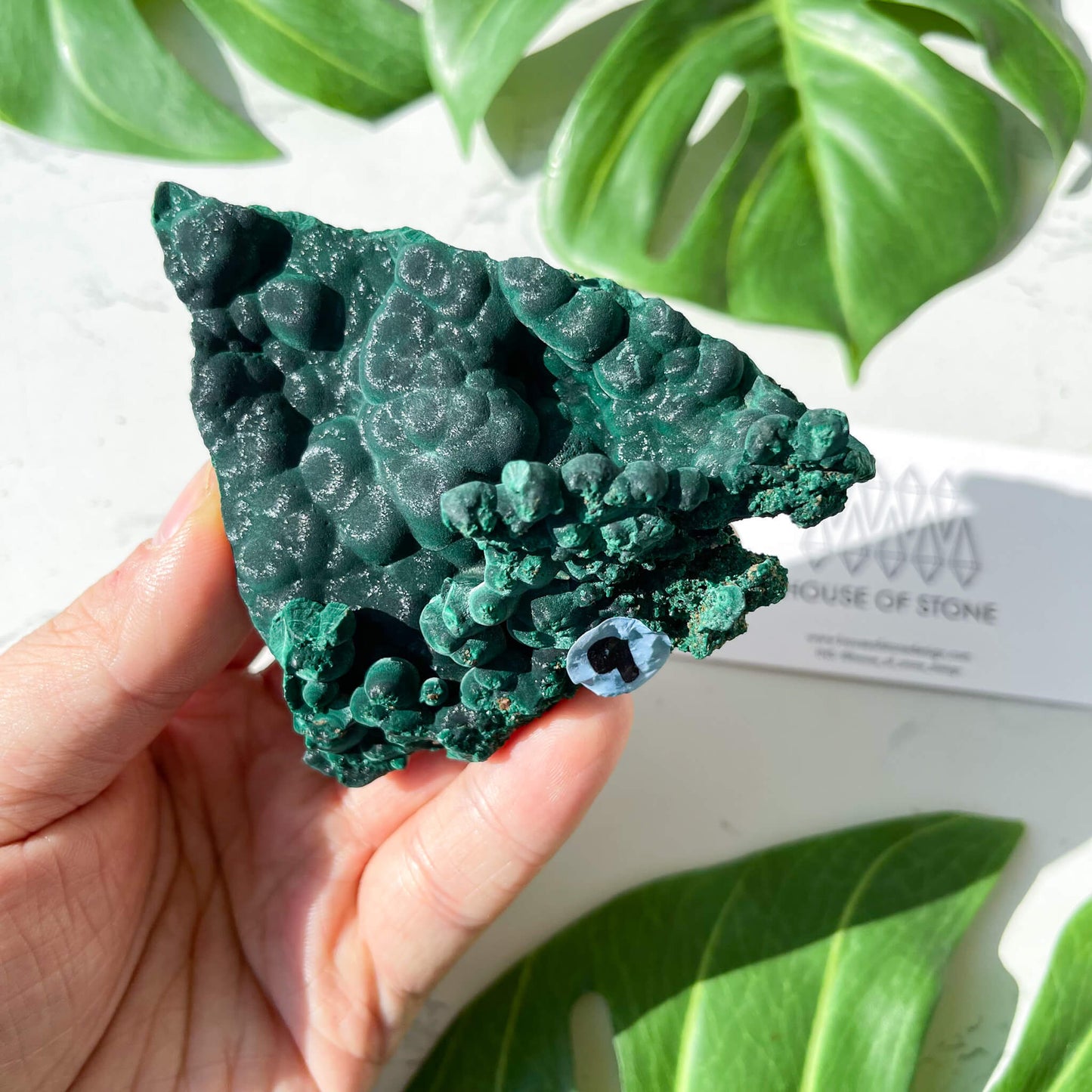 Natural Malachite Specimen/Raw Malachite/Velvet Malachite/Fibrous Velvet Malachite Crystal Specimen/Heart Chakra Healing/AAA